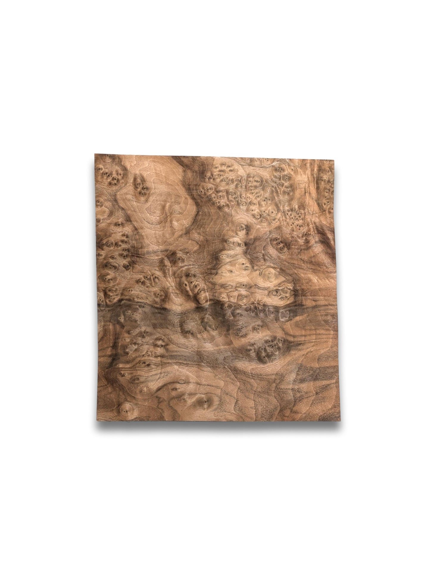 Nussbaum Maser Furnier | 29 x 30 cm