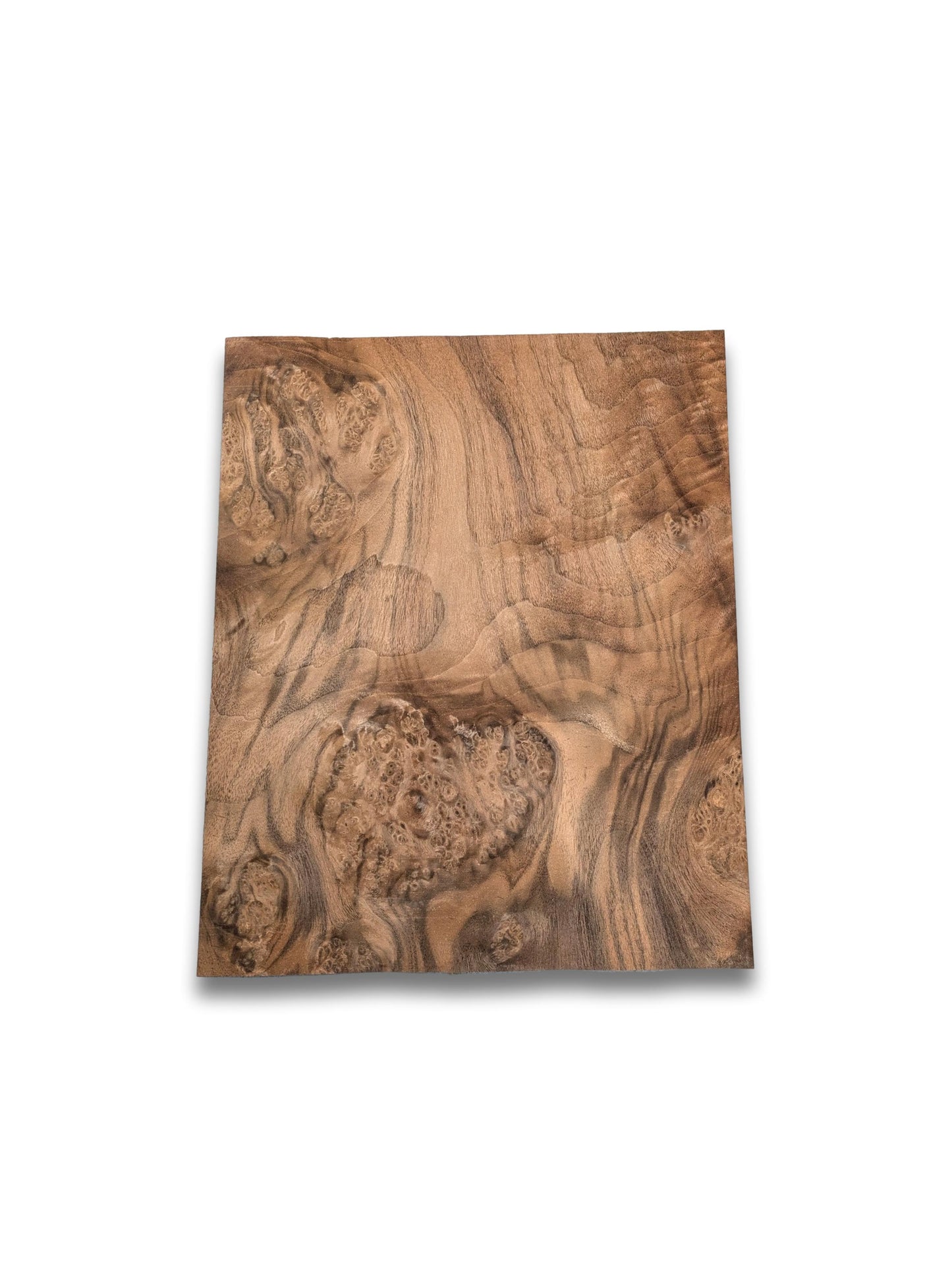 Nussbaum Maser Furnier | 36 x 29 cm