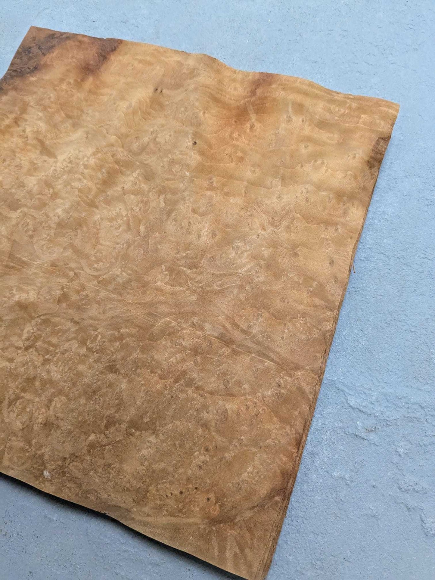 Los vel laurel wortel fineer 26 x 25 cm op grijze ondergrond, onbehandeld hout voor marqueterie of creatieve toepassingen.