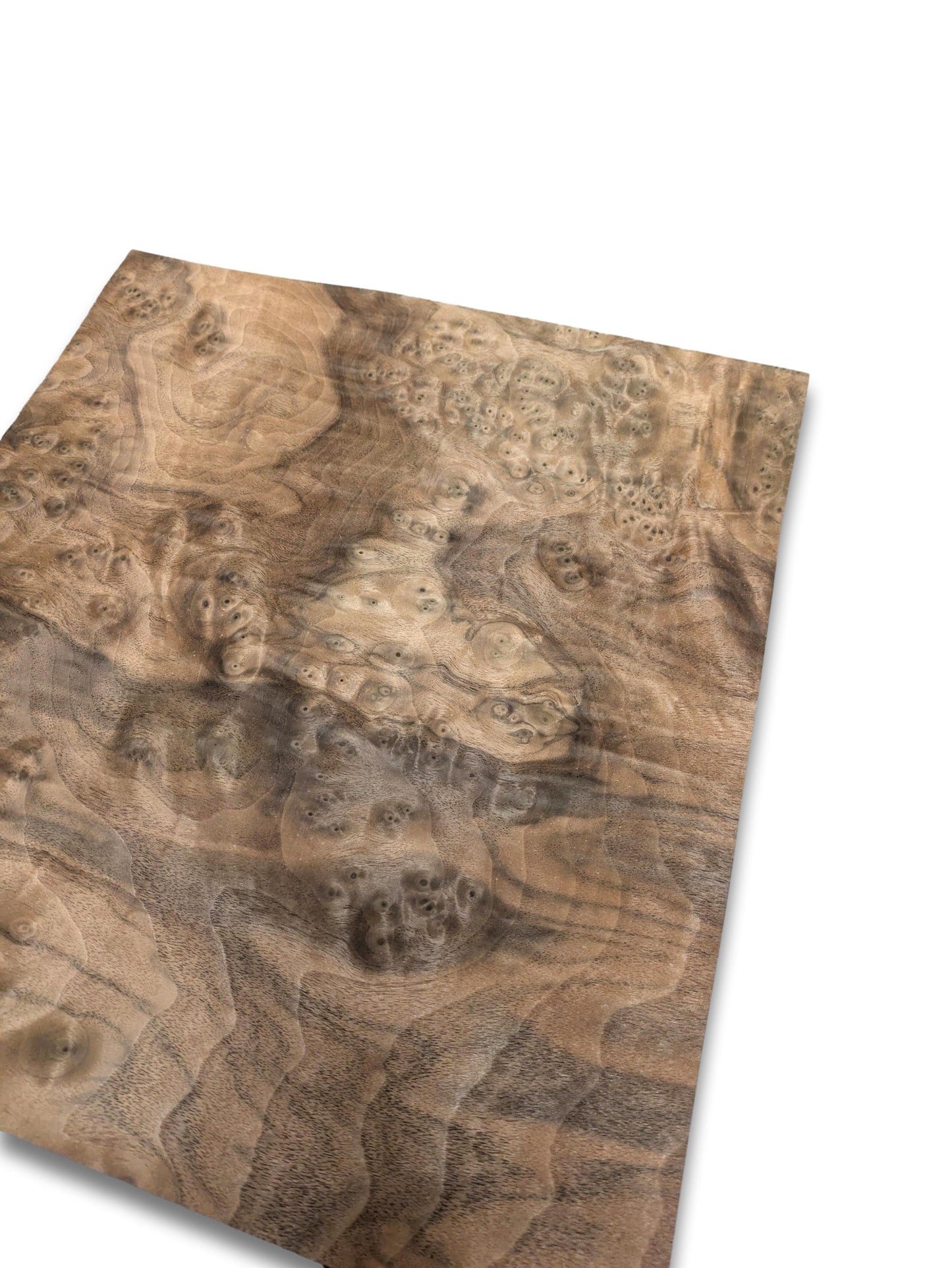 Nussbaum Maser Furnier | 29 x 30 cm