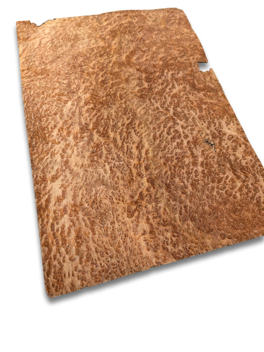 Amboyna (Maser) Furnier | 31 x 19 cm