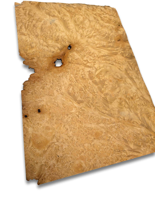 Los vel madrona (goud) wortel houtfineer 31x20 cm, naturel en onbehandeld, geschikt voor meubelbekleding of restauratieprojecten.