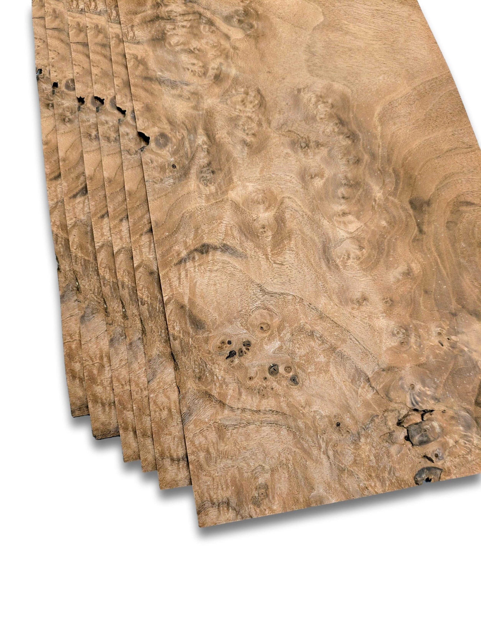 Bundel van 6 vellen walnoot wortel houtfineer van 36x21 cm, naturel en onbehandeld, ideaal voor meubelbekleding of restauratieprojecten.