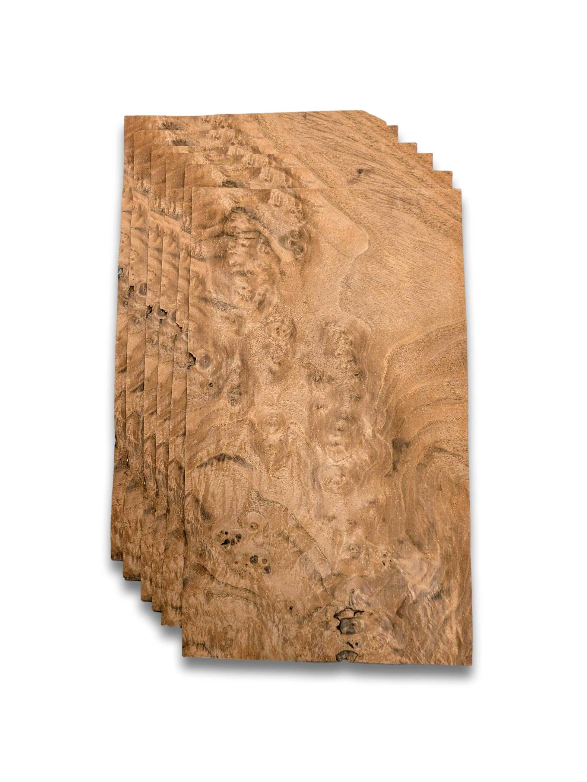 Set van 6 losse vellen walnoot wortel fineer, 36 x 21 cm, zonder backing, perfect voor kunst- en knutseltoepassingen of renovatie.