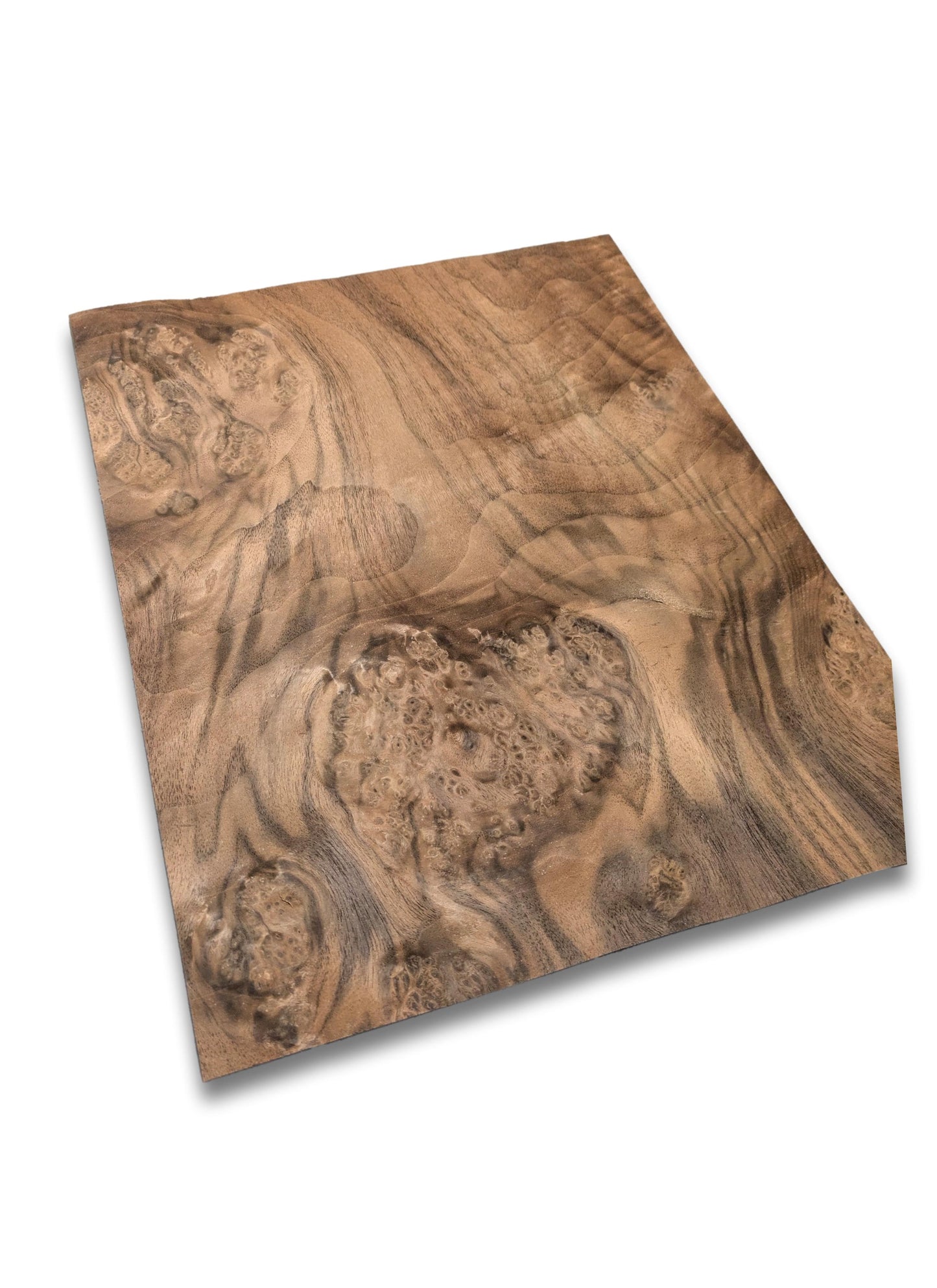 Nussbaum Maser Furnier | 36 x 29 cm