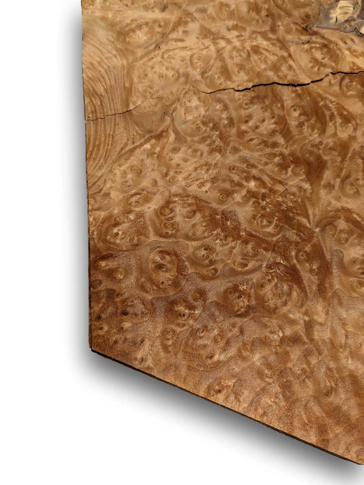 Madrona Maser Furnier | 45x38 cm