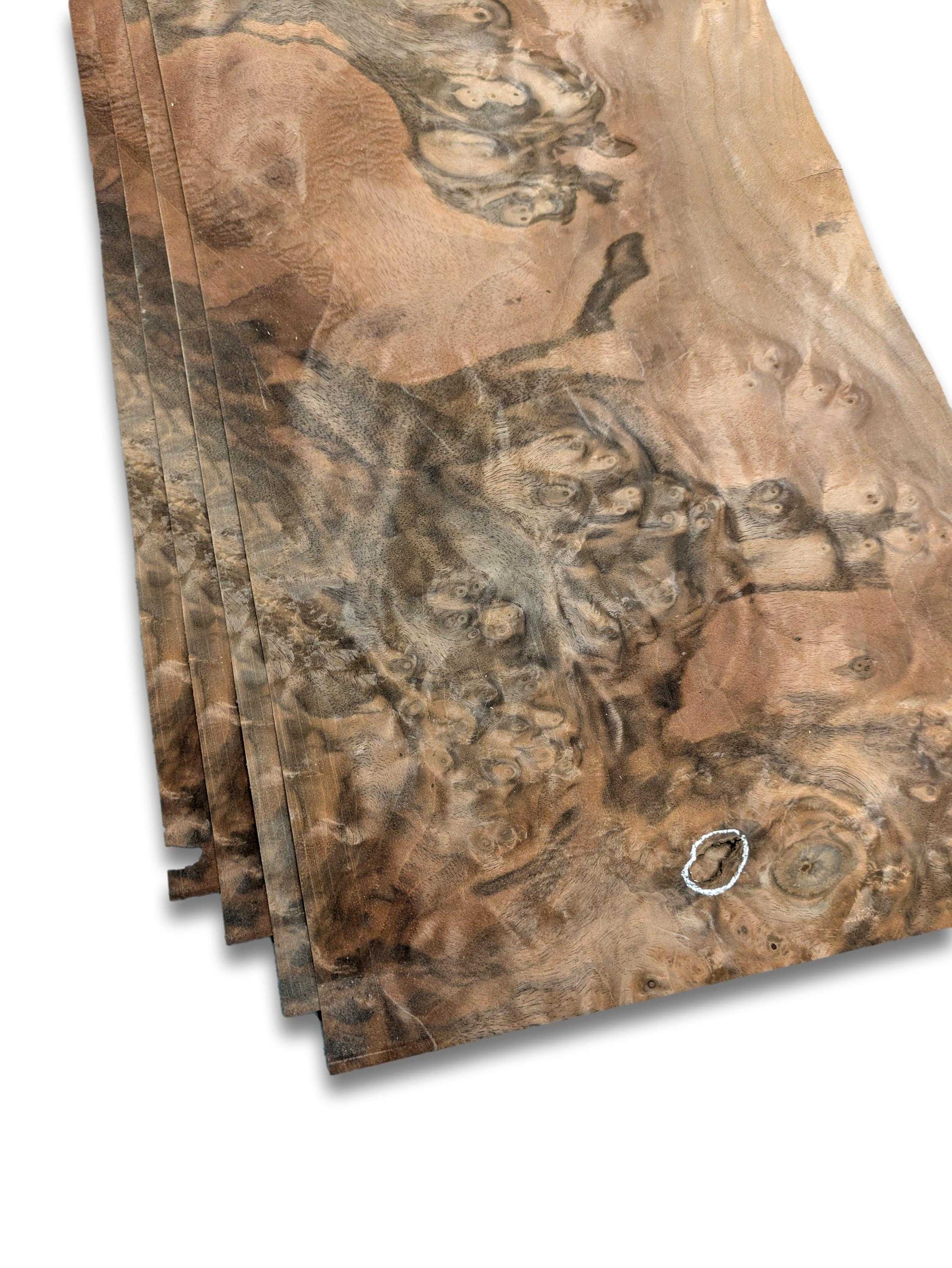 Walnoot wortel houtfineer 4 vellen 47x23 cm naturel en onbehandeld met unieke nerfstructuur voor meubelbekleding of restauratie.