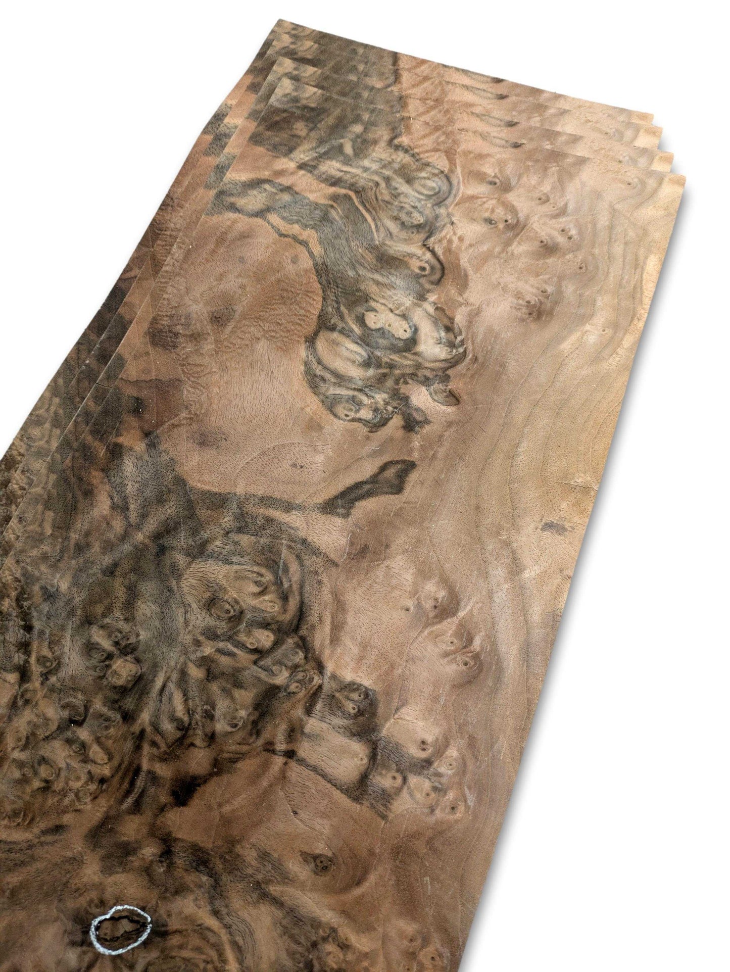 Losse vellen walnoot wortelfineer 47 x 23 cm bundel met decoratief patroon, ideaal voor marqueterie en creatieve houtprojecten.